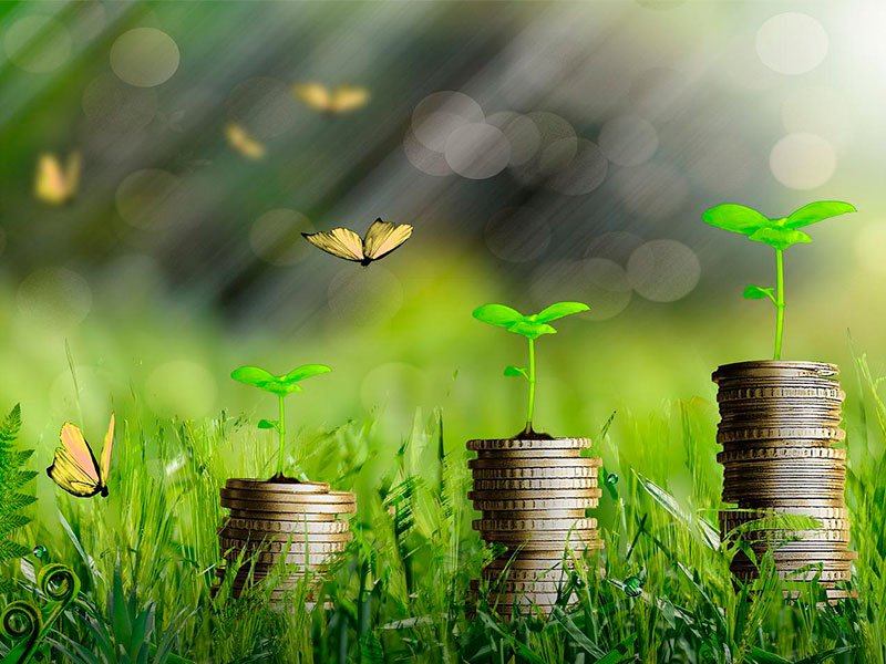 la-economia-circular-encuentra-barreras-en-la-falta-de-unidad-de-la-regulacion