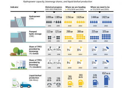 irena-otorga-a-la-bioenergia-un-papel-vital-en-la-transicion-energetica