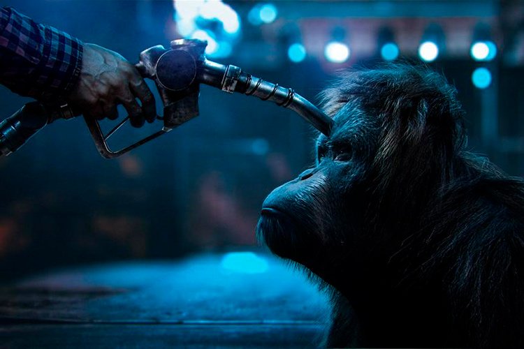 la-tendencia-empeora-mas-aceite-de-palma-para-combustible-y-menos-para-alimentos