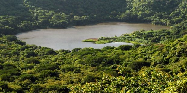 calendario-ecologico-fechas-clave-para-un-2019-mas-sostenible