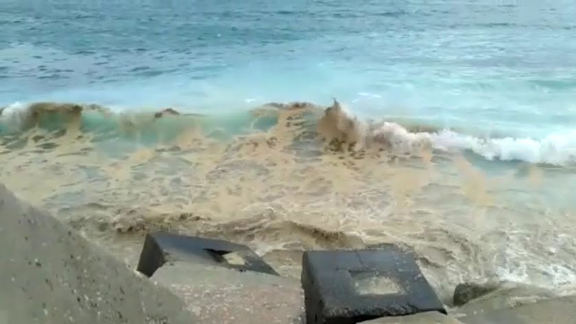 la-jueza-pide-una-inspeccion-a-la-planta-de-biodiesel-por-los-vertidos-de-carboneras