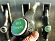 repunta-ligeramente-el-consumo-de-biodiesel-en-espana-en-2014