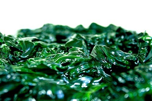 biodiesel-mas-barato-de-producir-con-algas-deshidratadas