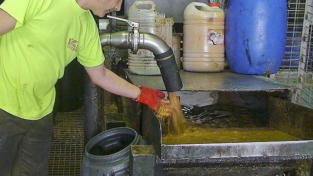 los-comerciantes-de-puerto-real-declaran-ante-la-jueza-por-el-caso-del-aceite-usado