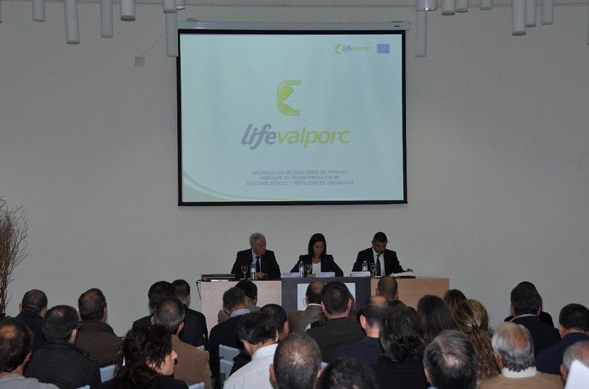 ejea-de-los-caballeros-convertira-los-cadaveres-de-porcino-en-biocombustibles