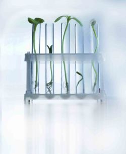 todo-el-poder-de-la-bioeconomia