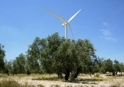 andalucia-primera-en-biomasa-electrica-termosolar-y-produccion-de-biocarburantes
