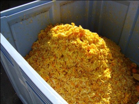 el-consell-apoya-la-creacion-del-primer-banco-de-pruebas-de-la-comunitat-para-evaluar-el-potencial-energetico-de-los-subproductos-alimentarios